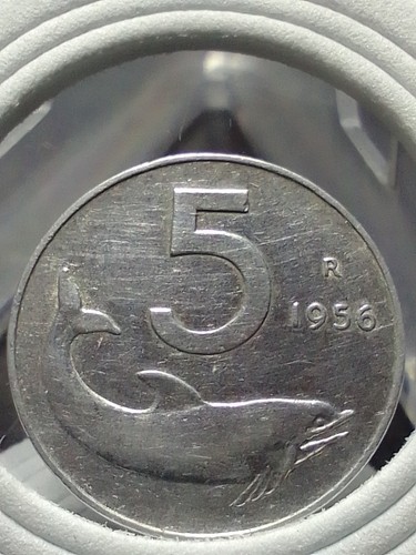 1956 lire dolphin - lire,
